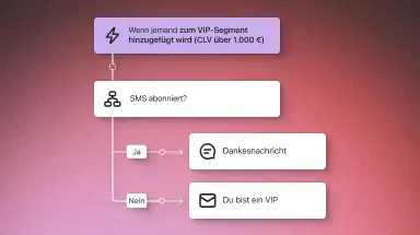 Flussdiagramm zur Kundenkommunikation: VIP-Segment, SMS-Abonnement, Dankesnachricht oder VIP-Benachrichtigung.