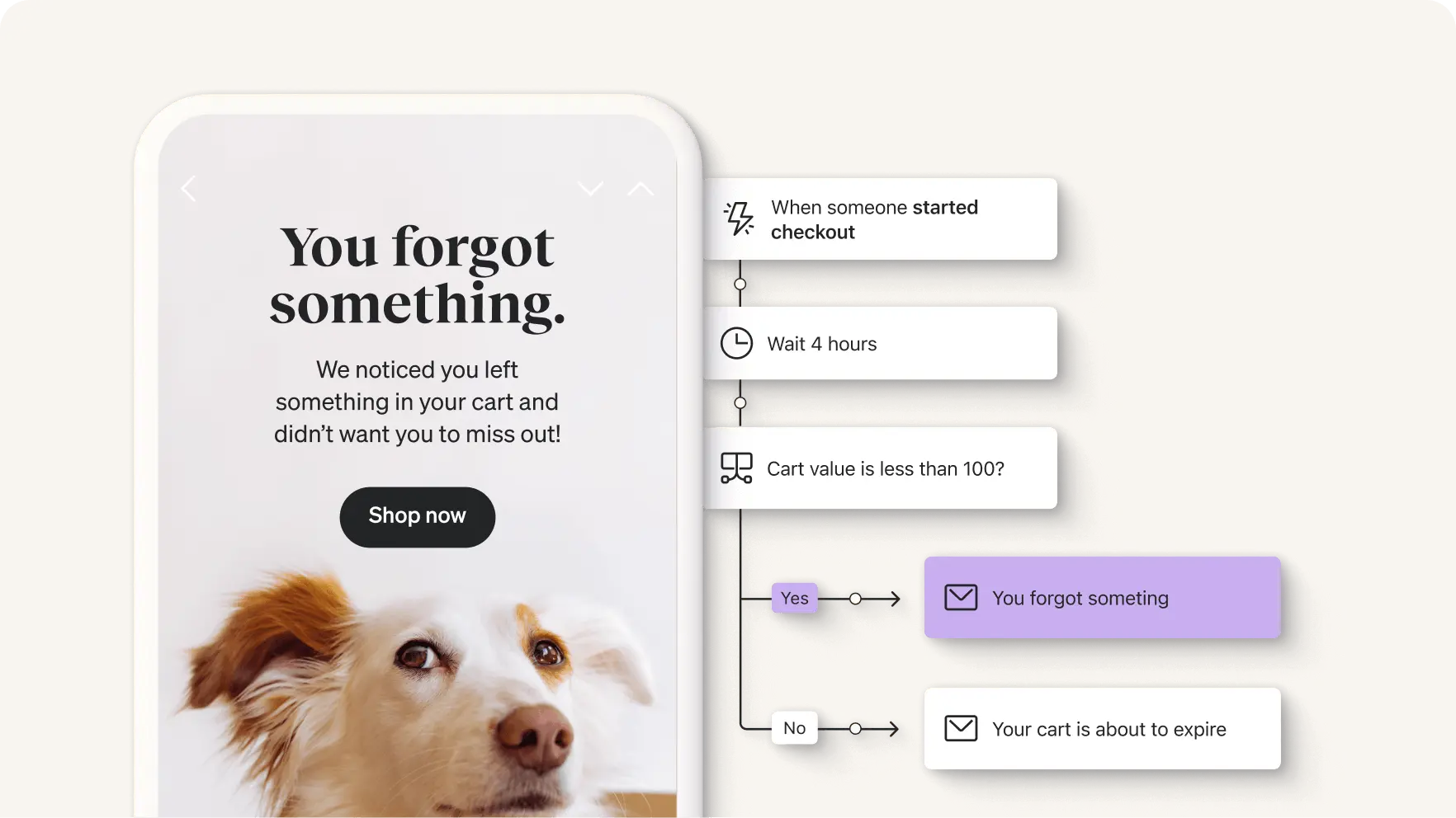 E-mail per carrello abbandonato di un brand di prodotti per animali domestici che avvisa i clienti di aver dimenticato qualcosa, accanto al grafico del flusso della serie per carrello abbandonato.