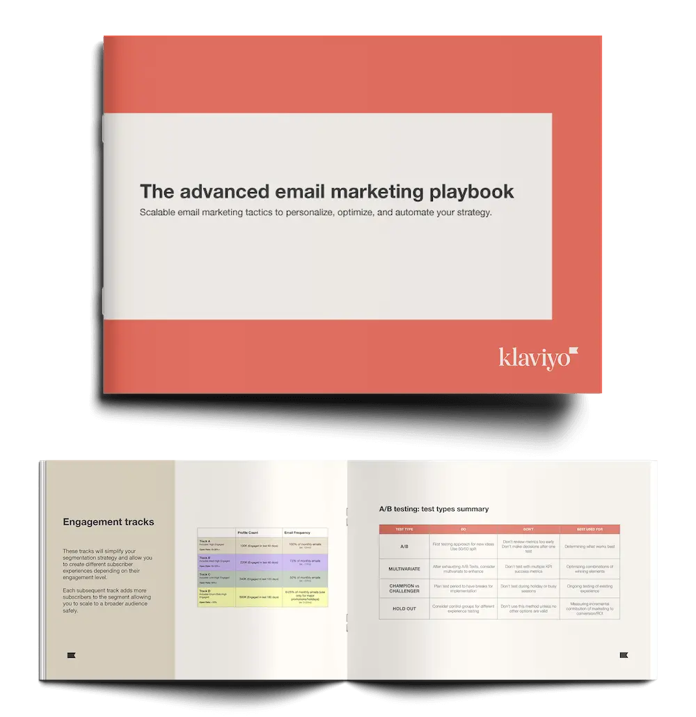 The Klaviyo advanced email marketing playbook sample