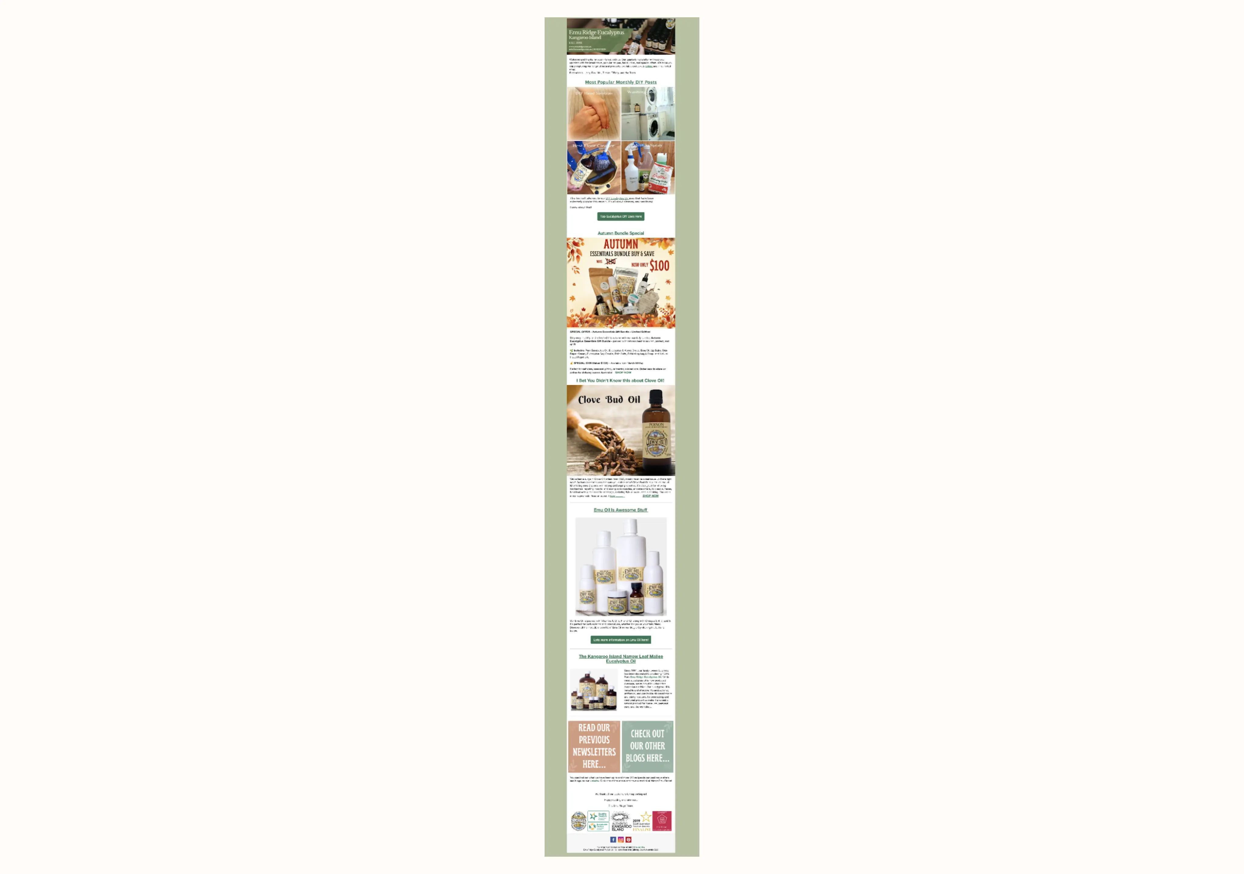 Image shows an email newsletter from Australian oil distillery Emu Ridge, which includes educational content about making DIY cleaning products with their essential oil, a deal for one of their seasonal bundles, and an offer for one of their new products.