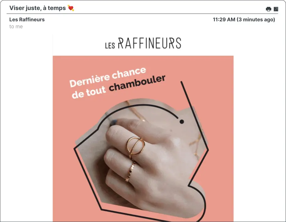 Screenshot of an email campaign from Les Raffineurs.