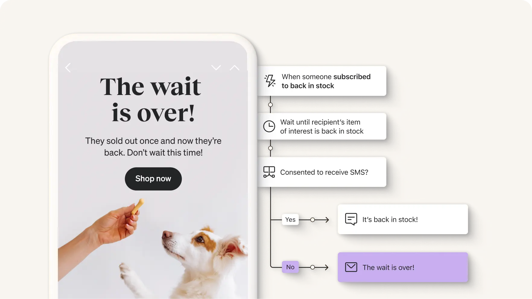 Back-in-stock email captioned The wait is over, next to reminder flow build-out